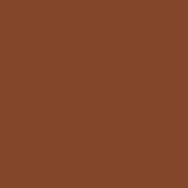 media.webp