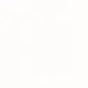 media (1).webp