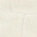media (1).webp