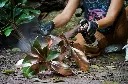 montananavidad70595.webp