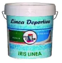 Pintura Azul para Pistas Deportivas